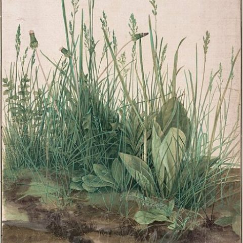 Publicaciones del proyecto pedagógico Dejarse decir: El arte de la interpretación